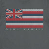Kākau Hawaiian Flag T-shirt - Oiwi