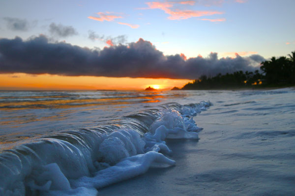 Oiwi Ocean Gear - Hairdresser in Honolulu